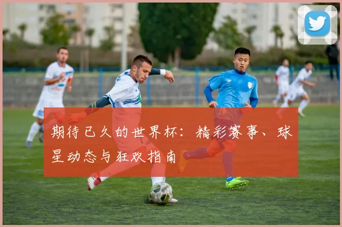 期待已久的世界杯：精彩赛事、球星动态与狂欢指南