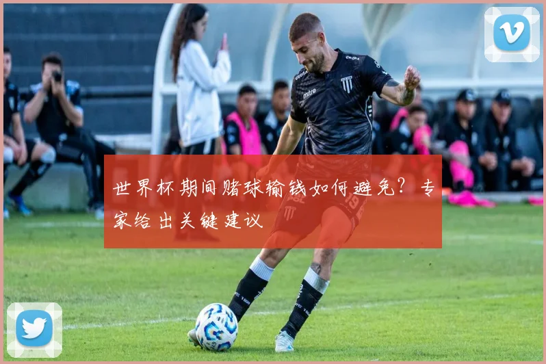 世界杯期间赌球输钱如何避免?专家给出关键建议