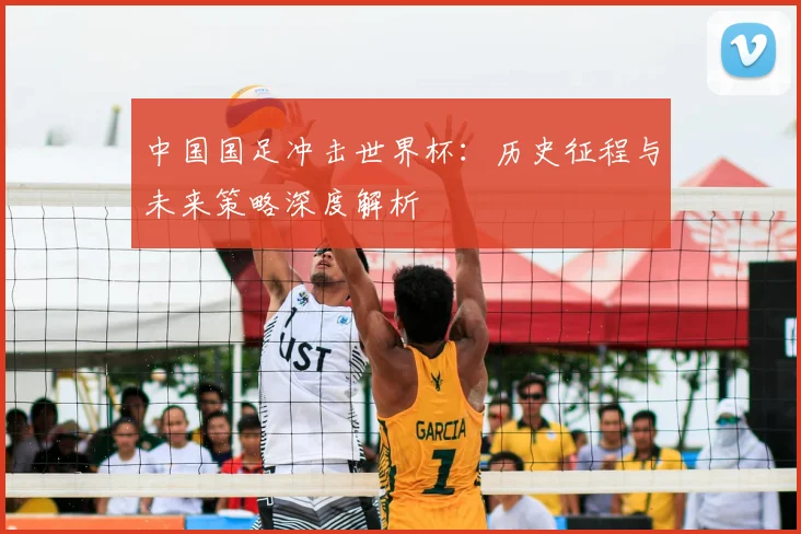 中国国足冲击世界杯:历史征程与未来策略深度解析