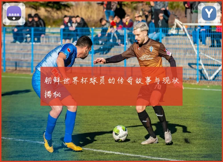朝鲜世界杯球员的传奇故事与现状揭秘