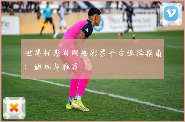 世界杯期间网络彩票平台选择指南：避坑与推荐