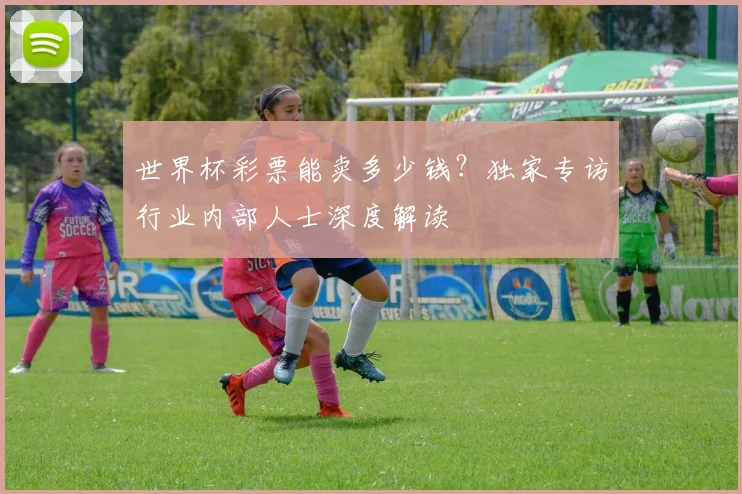 世界杯彩票能卖多少钱?独家专访行业内部人士深度解读