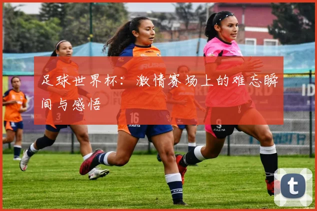 足球世界杯：激情赛场上的难忘瞬间与感悟