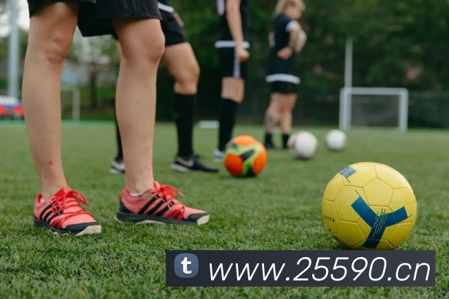 mksports官方公告品牌故事